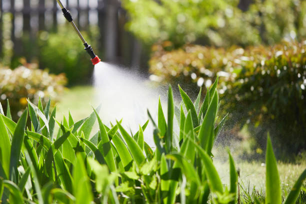 24/7 Emergency Ant Control experts in Cleveland, OK