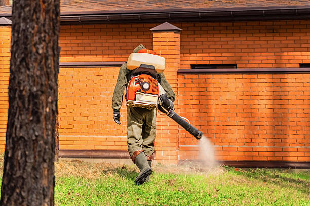 Top rated local Ant Control specialists in Cleveland, OK